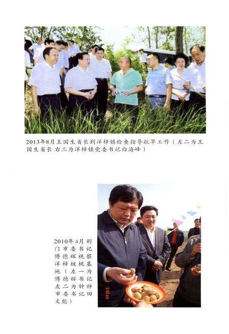 《洋梓镇志》.pdf电子版_湖北省志预览图4