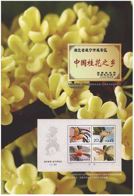 《咸安区志（1986-2005）》.pdf电子版_湖北省志预览图3