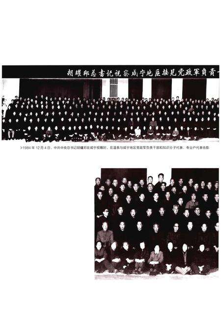 《咸安区志（1986-2005）》.pdf电子版_湖北省志预览图4