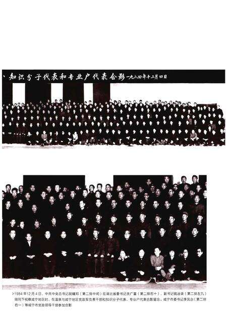 《咸安区志（1986-2005）》.pdf电子版_湖北省志预览图5