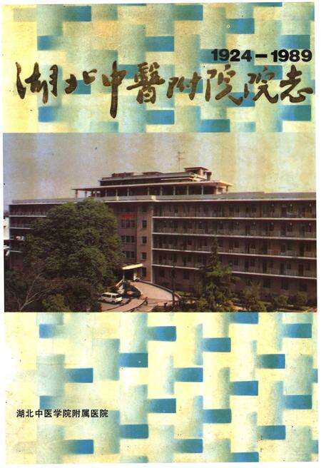 《湖北中医附院院志》.pdf电子版_湖北省志缩略图