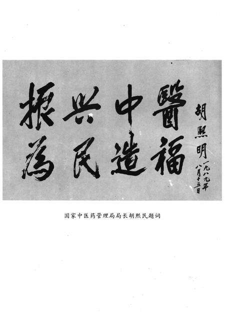 《湖北中医附院院志》.pdf电子版_湖北省志预览图4