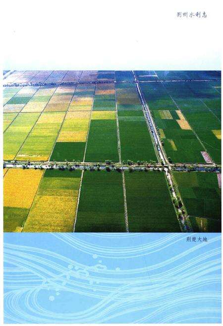 《荆州水利志(上册)》.pdf电子版_湖北省志预览图3