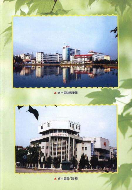 《天门市卫生志》.pdf电子版_湖北省志预览图4