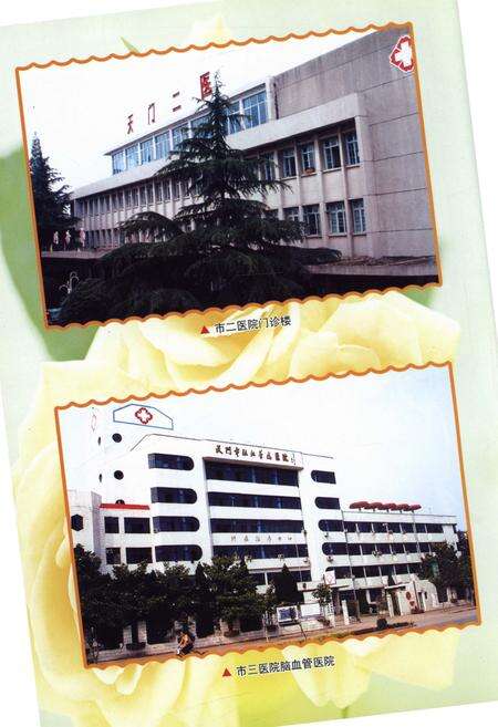 《天门市卫生志》.pdf电子版_湖北省志预览图5