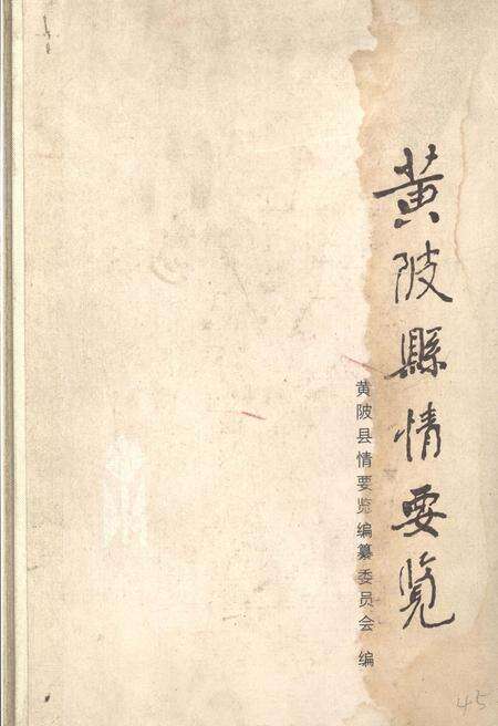 《黄陂县情要览》.pdf电子版_湖北省志缩略图