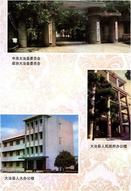 《大冶县志》.pdf电子版_湖北省志预览图3