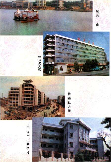 《大冶县志》.pdf电子版_湖北省志预览图4