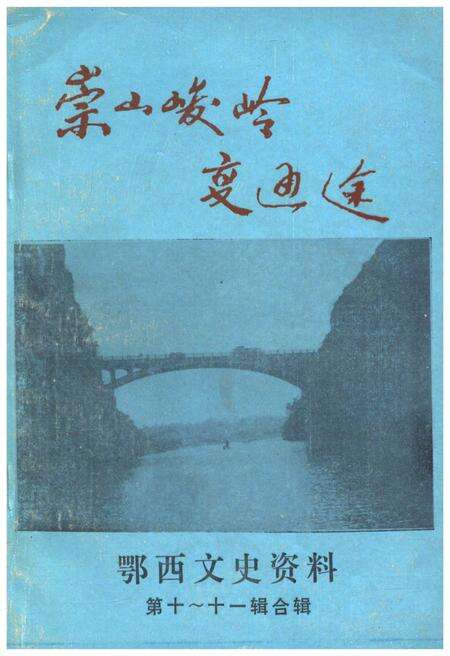 《鄂西文史资料 第十至十一辑》.pdf电子版_湖北省志缩略图