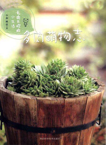 《多肉萌物志》.pdf电子版_湖北省志预览图1