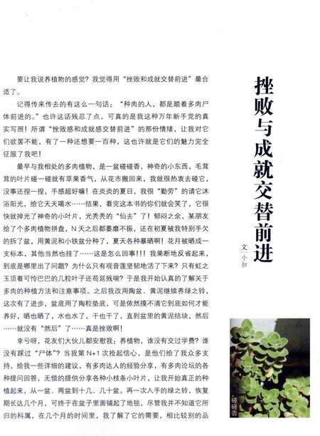 《多肉萌物志》.pdf电子版_湖北省志预览图4