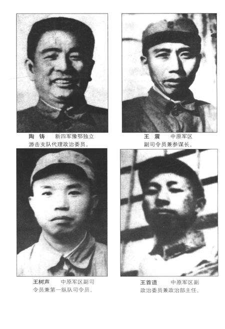 《驰骋江淮河汉》.pdf电子版_湖北省志预览图4