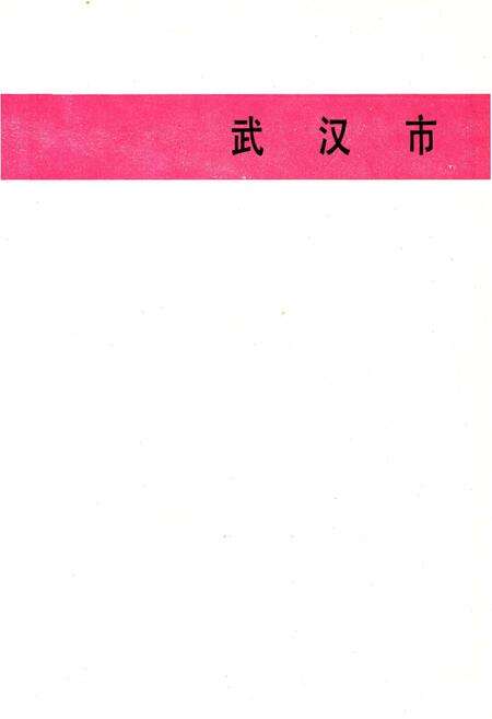 《当代湖北工业.地区卷》.pdf电子版_湖北省志预览图5