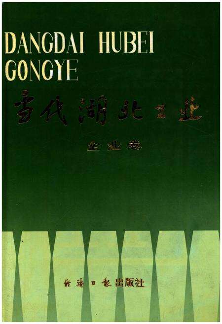 《当代湖北工业.企业卷》.pdf电子版_湖北省志缩略图