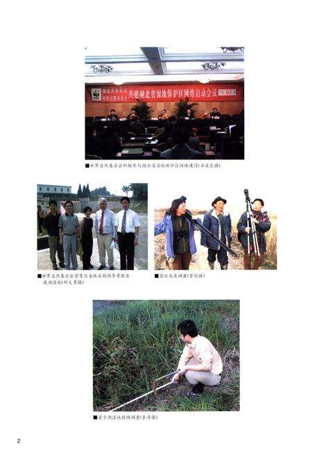 《湖北湿地》.pdf电子版_湖北省志预览图4
