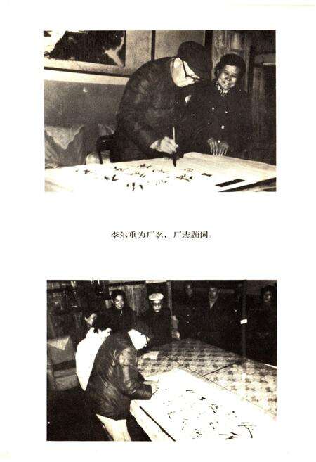 《武昌车辆工厂志  1949-1985》.pdf电子版_湖北省志预览图4