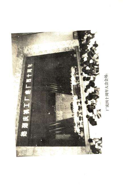 《武昌车辆工厂志  1949-1985》.pdf电子版_湖北省志预览图5