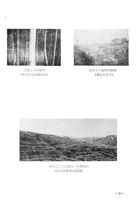 《宜都县土壤志》.pdf电子版_湖北省志预览图3