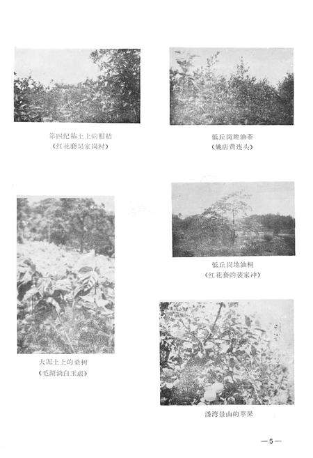 《宜都县土壤志》.pdf电子版_湖北省志预览图5