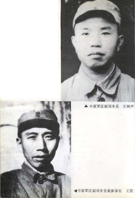 《中原突围史》.pdf电子版_湖北省志预览图5