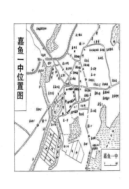 《嘉鱼一中校志》.pdf电子版_湖北省志预览图4