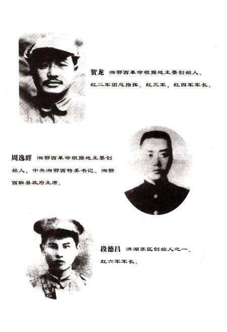 《荆州革命老区》.pdf电子版_湖北省志预览图3