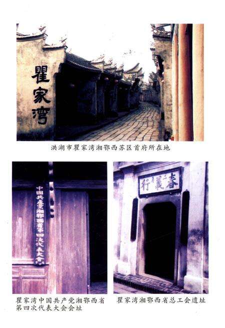 《荆州革命老区》.pdf电子版_湖北省志预览图4