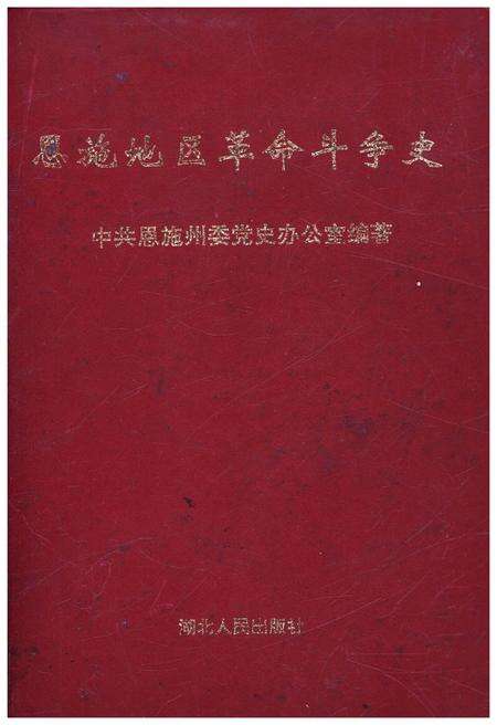 《恩施地区革命斗争史》.pdf电子版_湖北省志缩略图