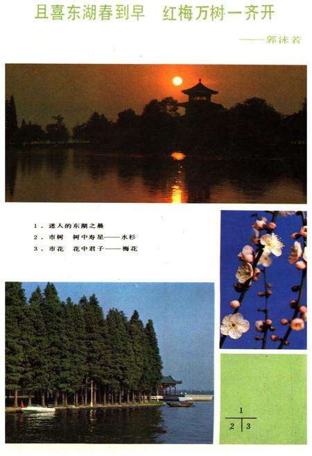 《武汉通览》.pdf电子版_湖北省志预览图5