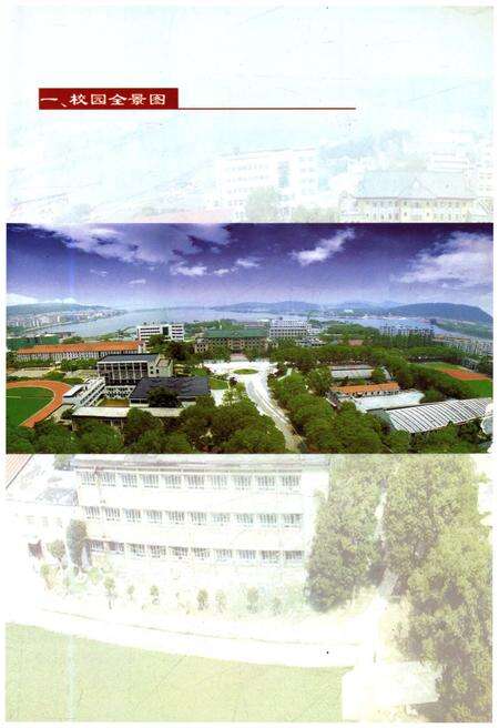 《武汉体育学院校史 1953-2003》.pdf电子版_湖北省志预览图3