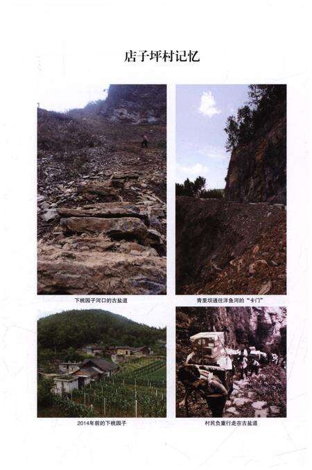 《店子坪村志》.pdf电子版_湖北省志预览图3