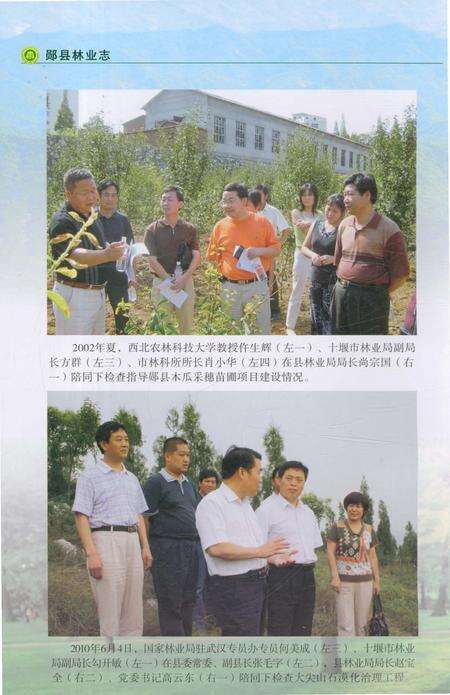 《郧县林业志》.pdf电子版_湖北省志预览图4