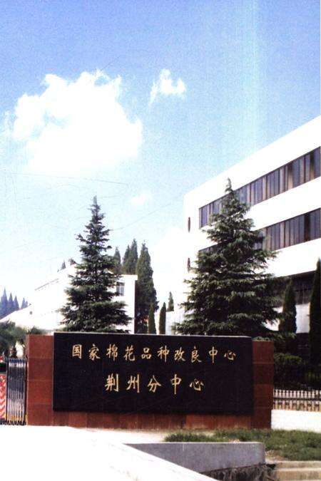 《荆州农业科学院志》.pdf电子版_湖北省志预览图4