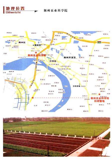 《荆州农业科学院志》.pdf电子版_湖北省志预览图5