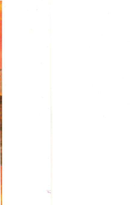 《新四军黄石人物志》.pdf电子版_湖北省志预览图1