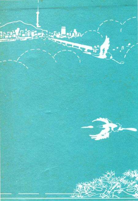 《武汉市城市规划志》.pdf电子版_湖北省志预览图1