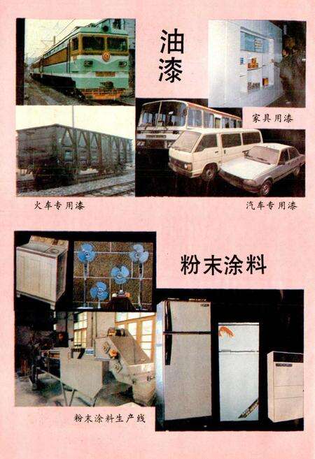 《湖南造漆厂志》.pdf电子版_湖南省志预览图5