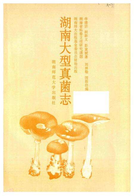 《湖南大型真菌志》.pdf电子版_湖南省志预览图1