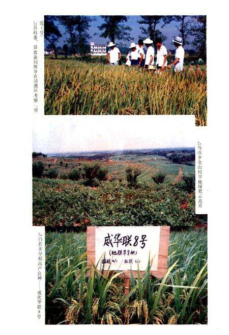 《望城县农业志》.pdf电子版_湖南省志预览图4