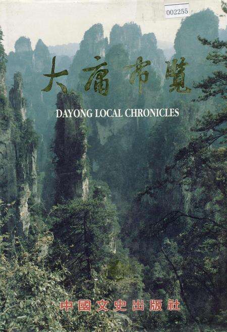 《大庸市览》.pdf电子版_湖南省志缩略图