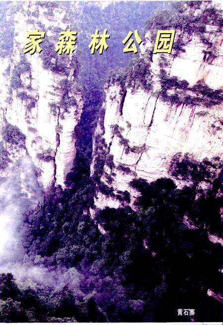 《张家界国家森林公园志》.pdf电子版_湖南省志预览图3