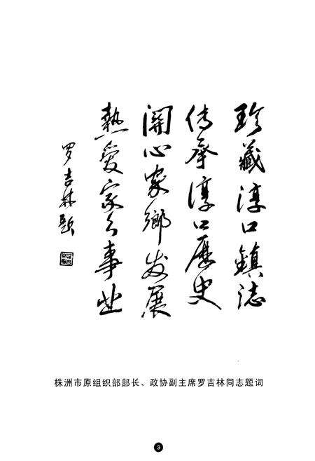 《湖南省浏阳市淳口镇志》.pdf电子版_湖南省志预览图3