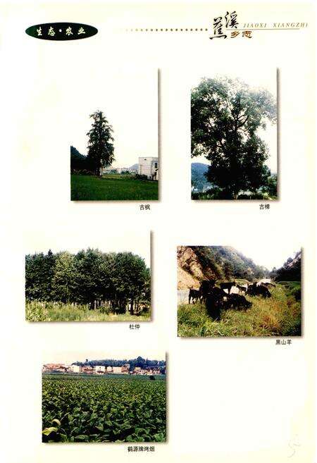 《湖南省浏阳市蕉溪乡志》.pdf电子版_湖南省志预览图5