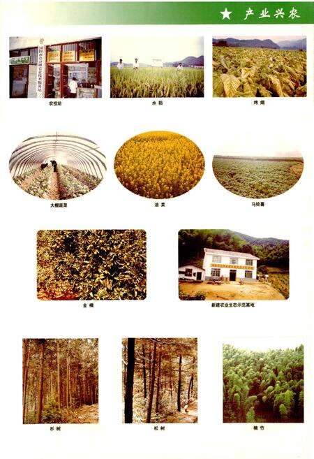 《湖南省浏阳市达浒镇志》.pdf电子版_湖南省志预览图5