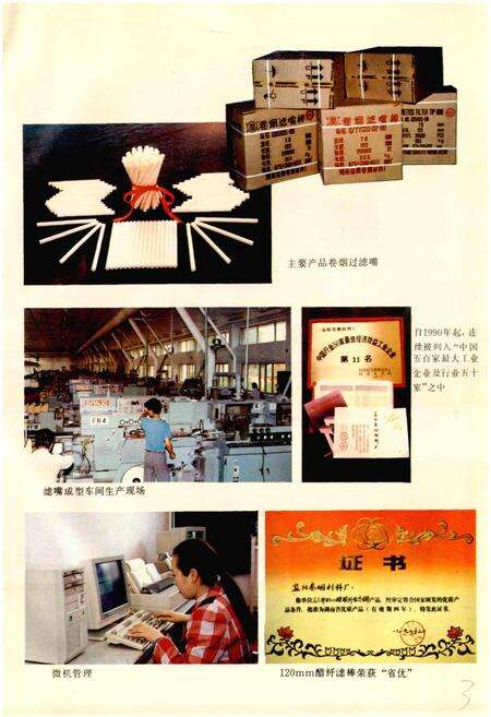 《益阳卷烟材料厂厂志》.pdf电子版_湖南省志预览图3