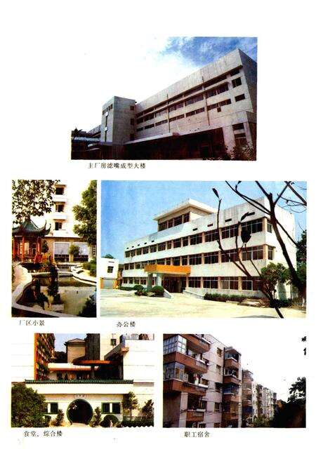 《益阳卷烟材料厂厂志》.pdf电子版_湖南省志预览图4