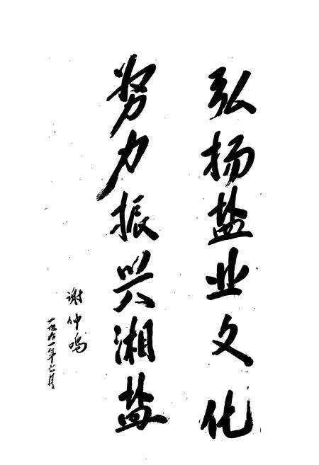 《醴陵盐业志》.pdf电子版_湖南省志预览图3