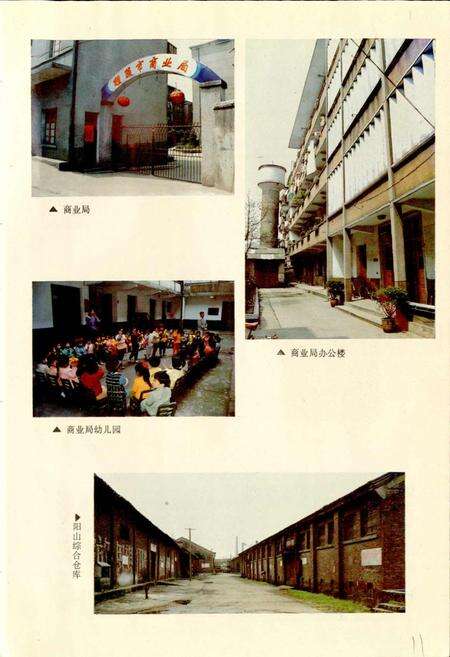 《醴陵商业志》.pdf电子版_湖南省志预览图5