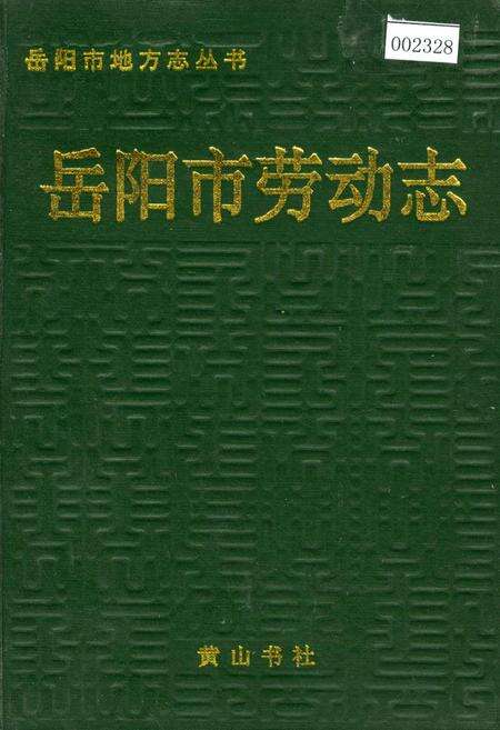 《岳阳市劳动志》.pdf电子版_湖南省志缩略图