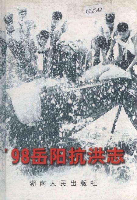 《98岳阳抗洪志》.pdf电子版_湖南省志缩略图